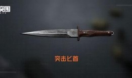 暗区突围最新刀爆料,全新刀械爆料，神秘武器即将亮相